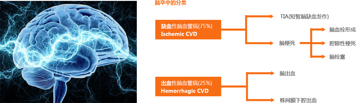 凯时88·(中国区)集团公司官网